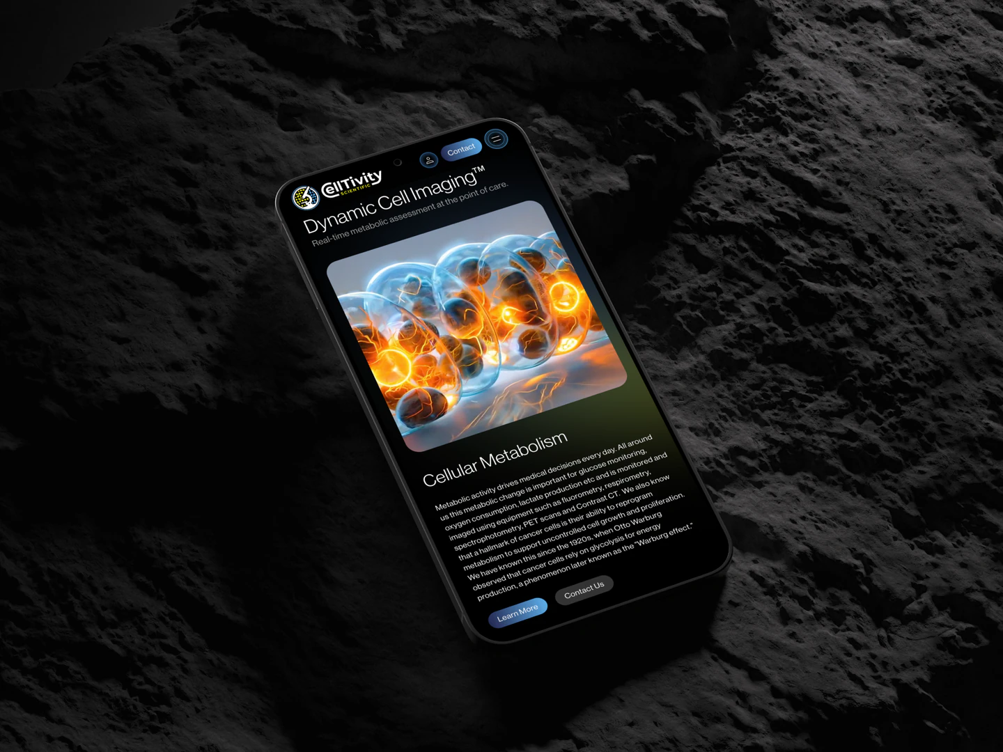 Celltivity Dynamic Cell Imaging page on a phone resting on a textured rock surface