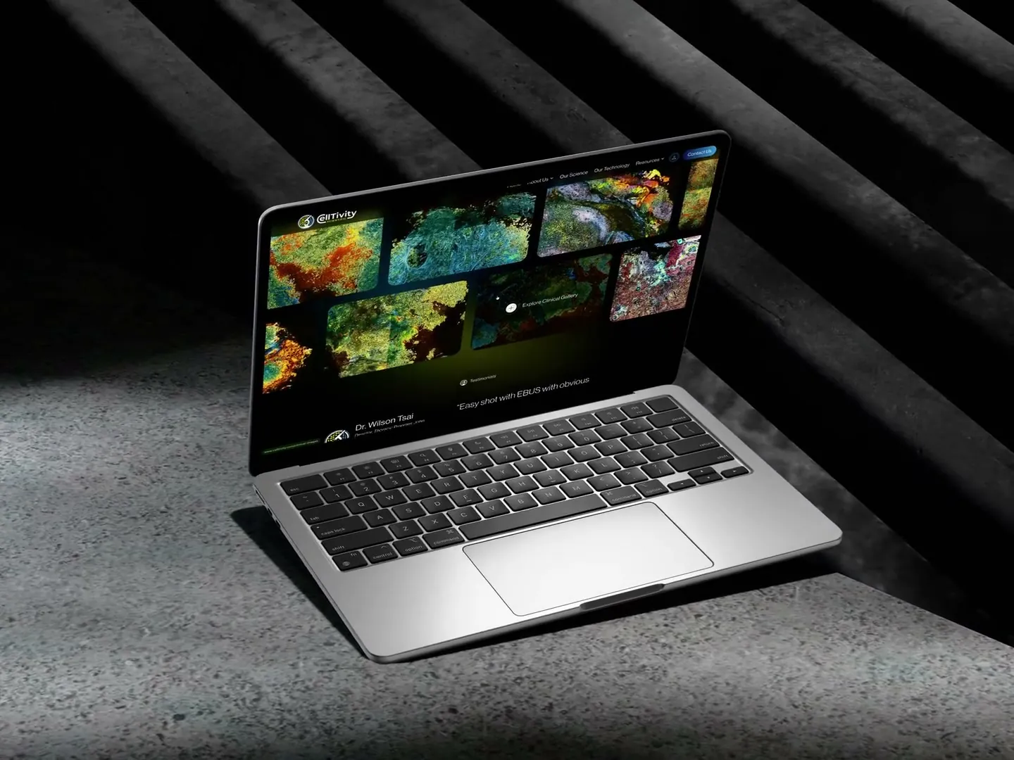 Celltivity website showcase