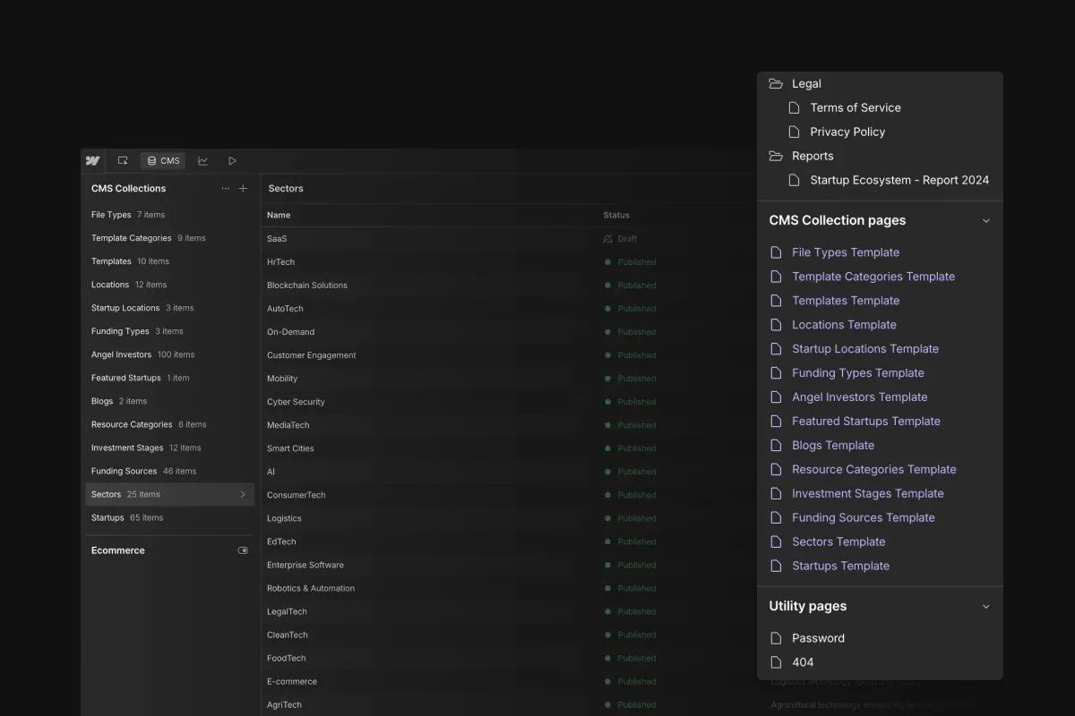 Webflow CMS collections and page management for ongoing website updates